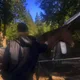 Hunter profile