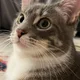 Gwater profile