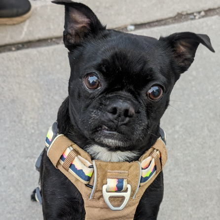 Sebastian Swiatek profile