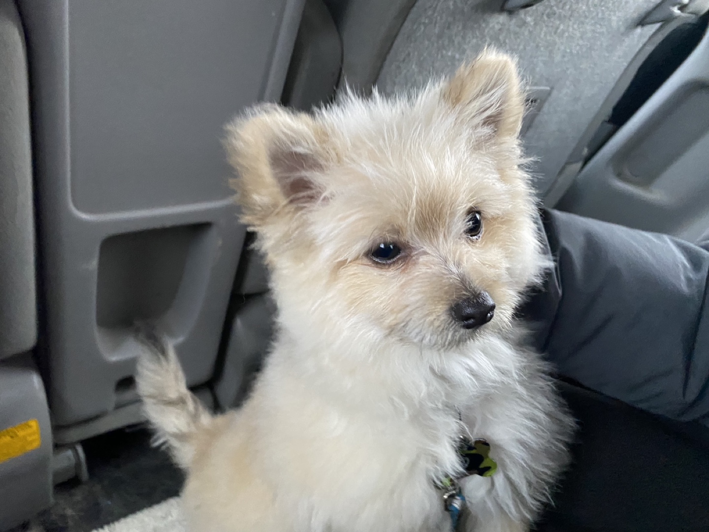 Roxiee profile