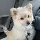 Roxiee profile