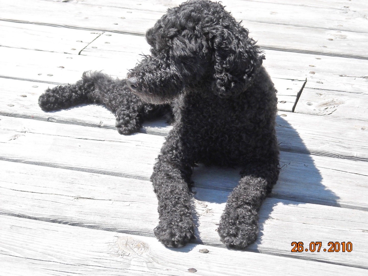 Goreta Brown profile