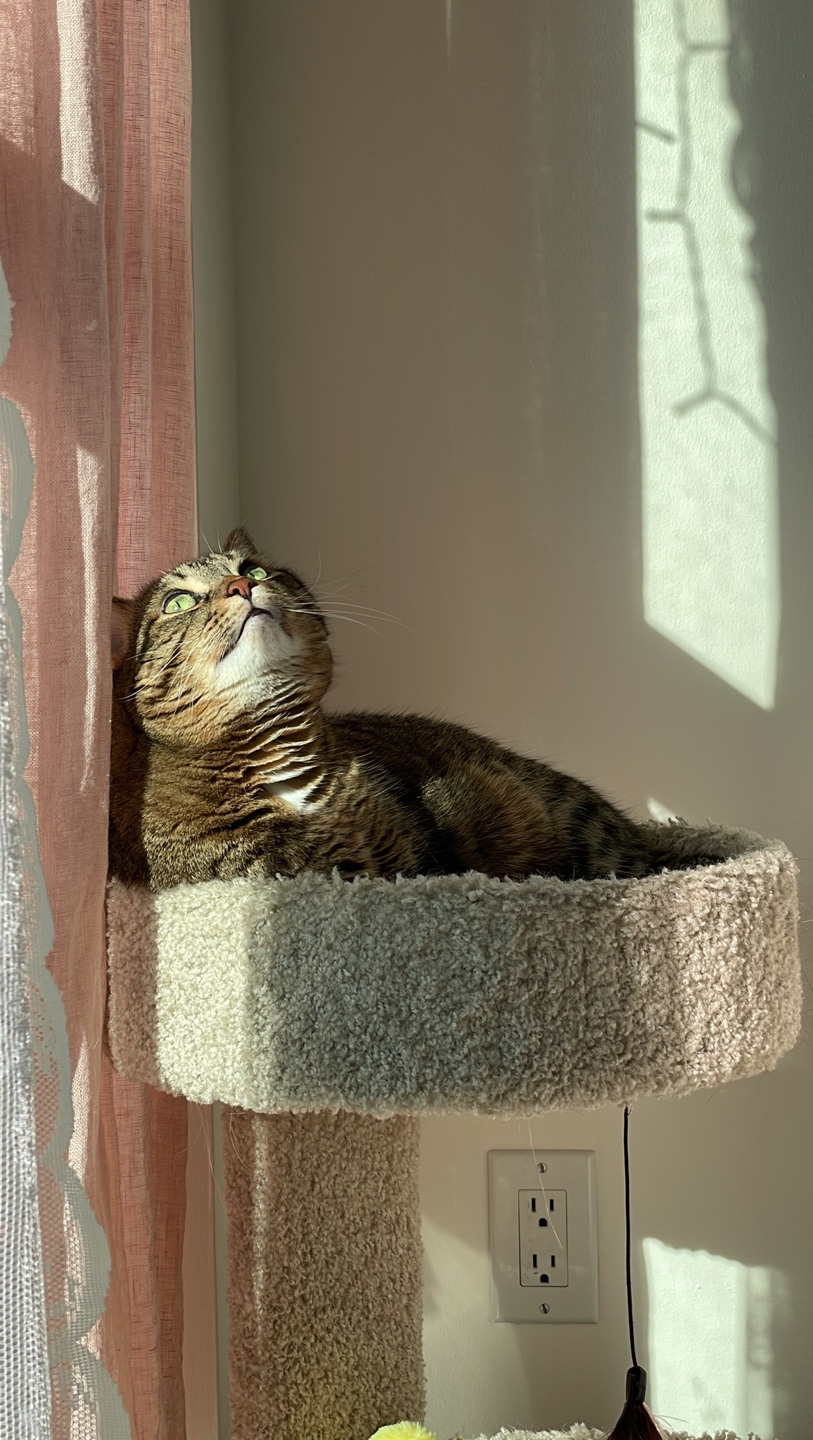Elena profile