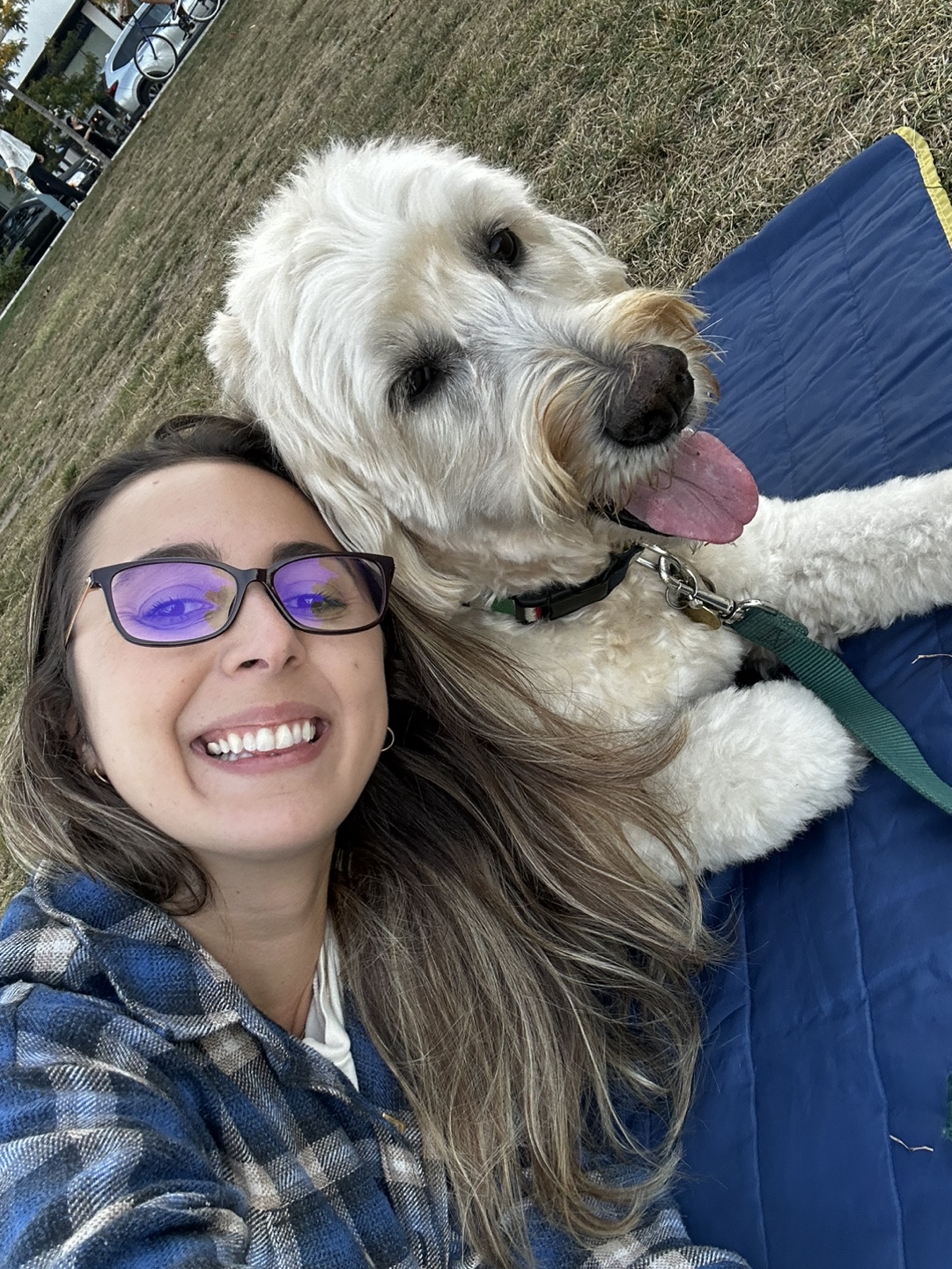 Avree profile