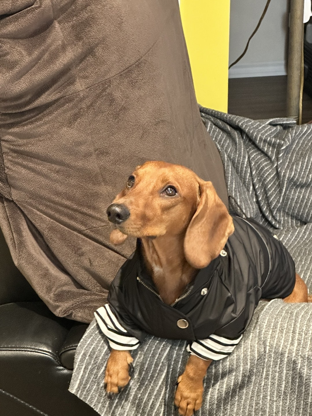 Lilia profile