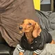 Lilia profile