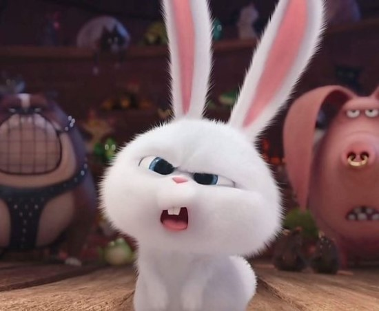 Bunny profile