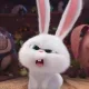 Bunny profile