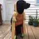 AJ profile