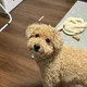 Jindolmom profile
