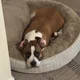 Serch profile