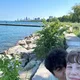 Whitney profile