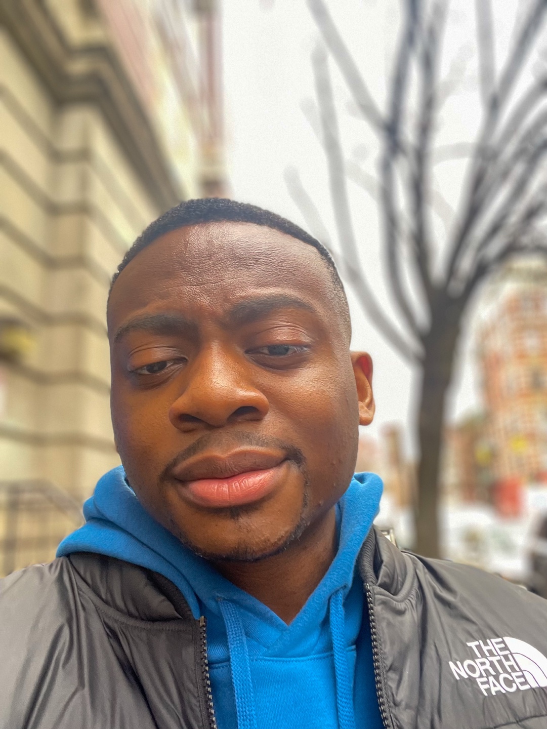 Oyedola profile