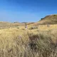 Zachary profile