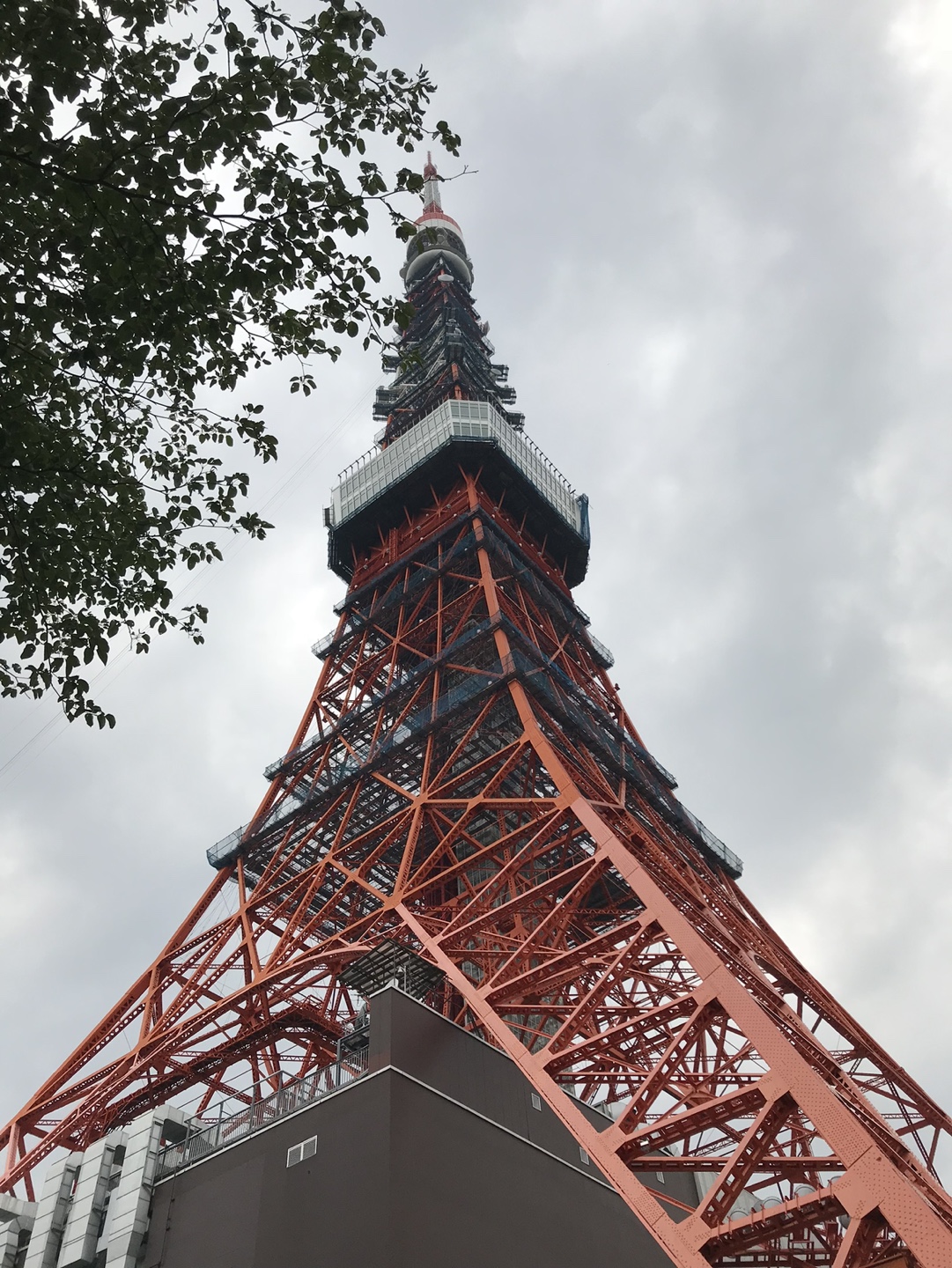 BonVoyage Sh0p profile