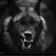 blackwolf profile