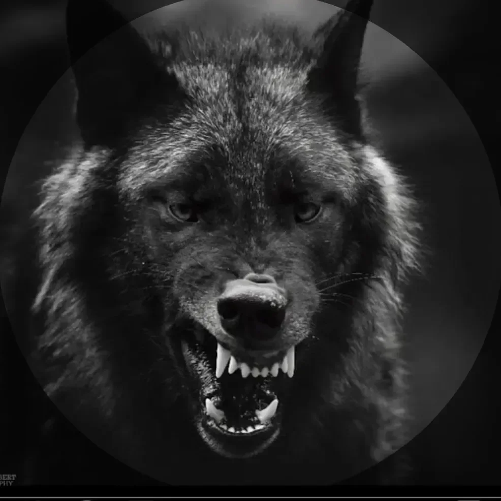 blackwolf profile
