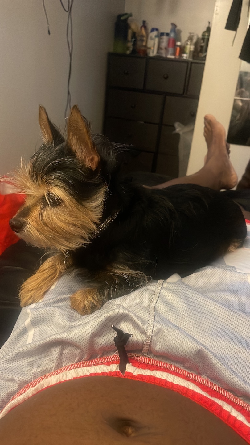 Charlie profile