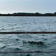 River profile