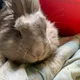 Aubrey profile