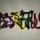 ty profile