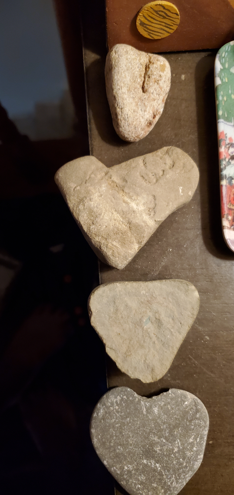 NorthernLight profile