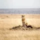 ddww00 profile