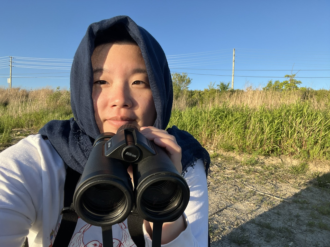 Siyi profile