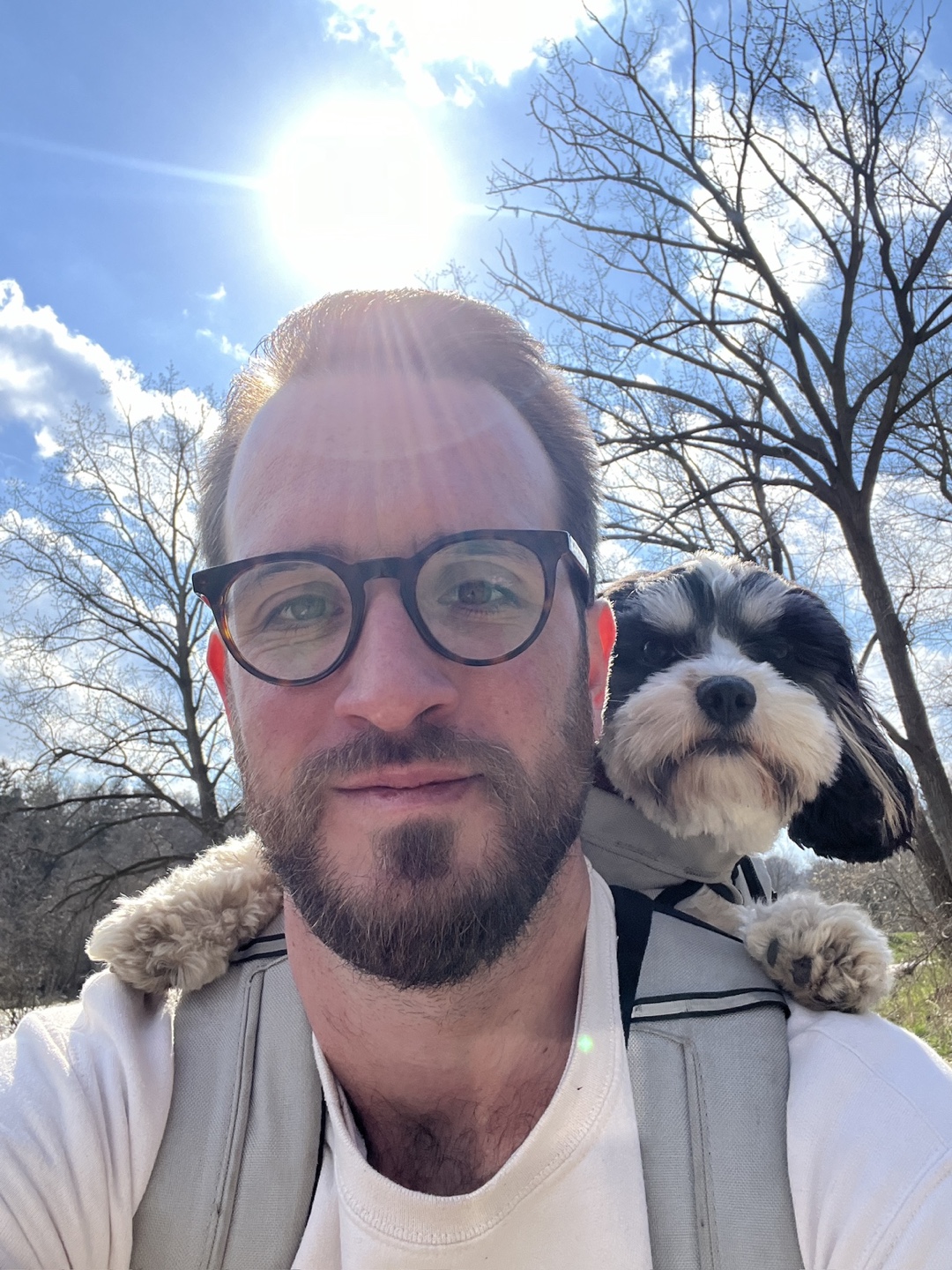 Tom profile