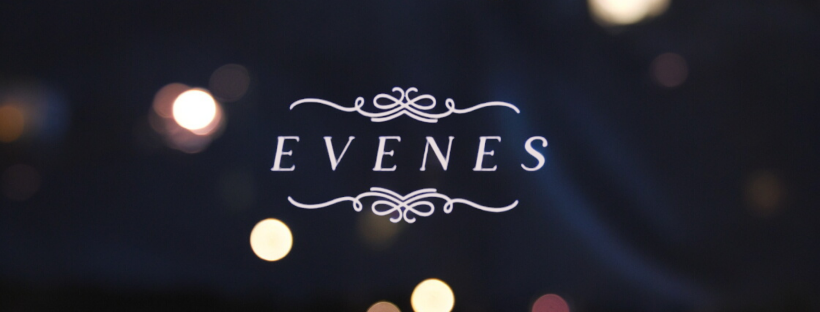 Evenes profile