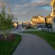 shrewish profile