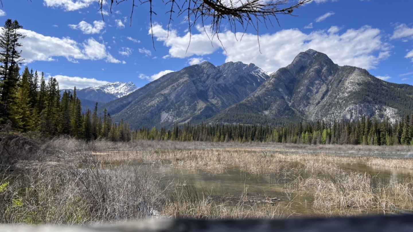 Corey Whitney profile