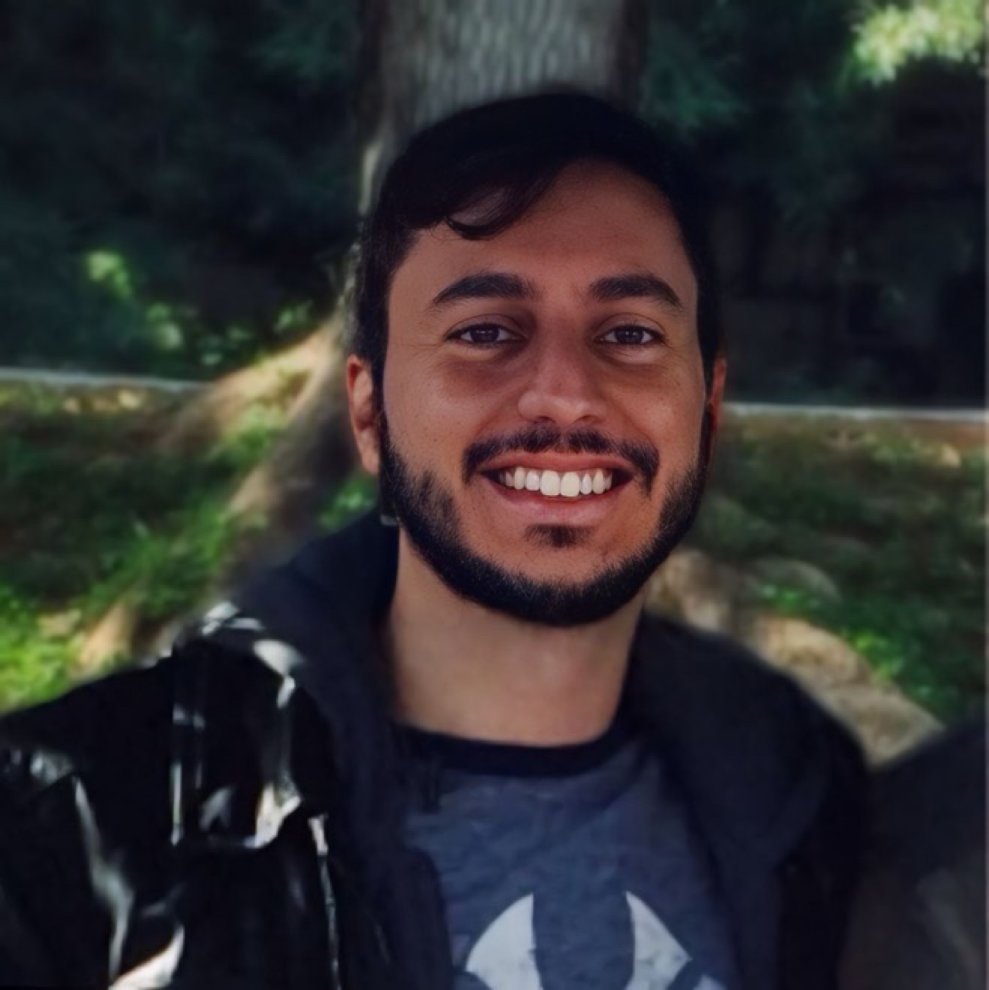 Rafael profile