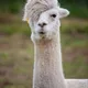HappyGoLucky profile