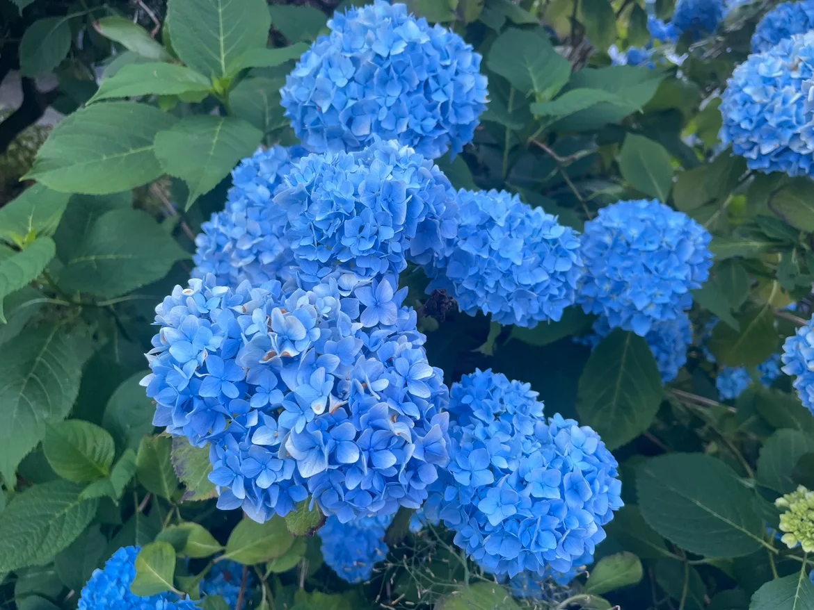 MMTJupiterGlampers profile