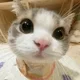 IM profile