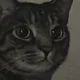 niki profile
