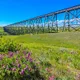 YQL Sales profile