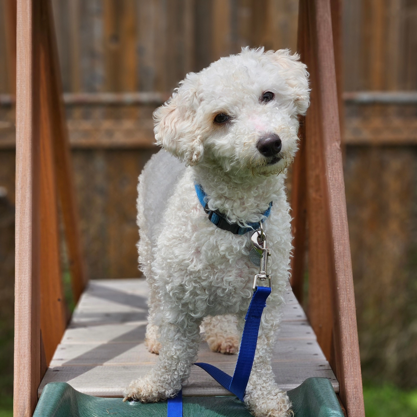 Mandy and Mark profile