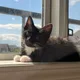 Caitlin profile