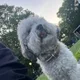 Lizzy profile