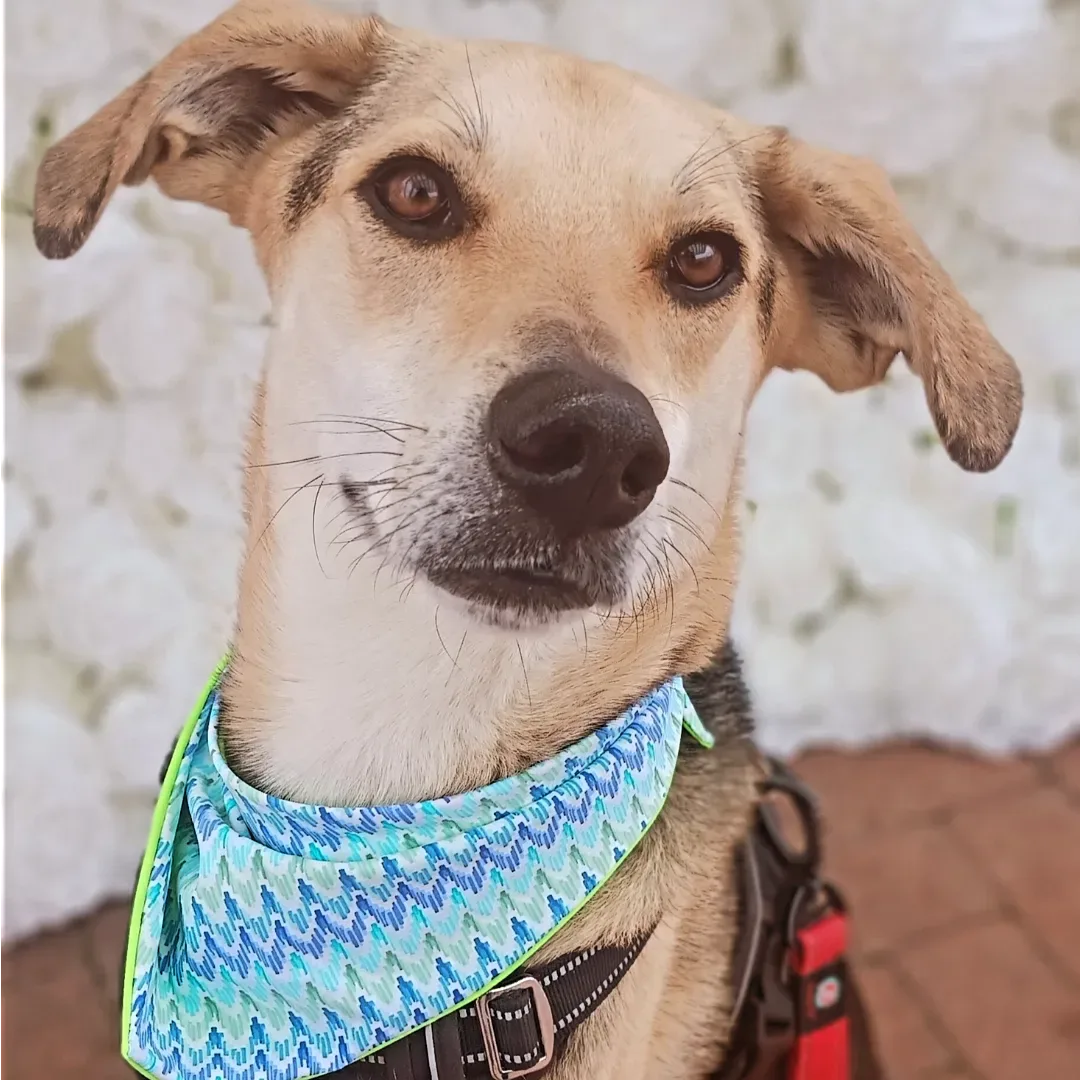 Annamaria Creighton profile