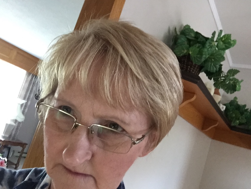 Judy profile