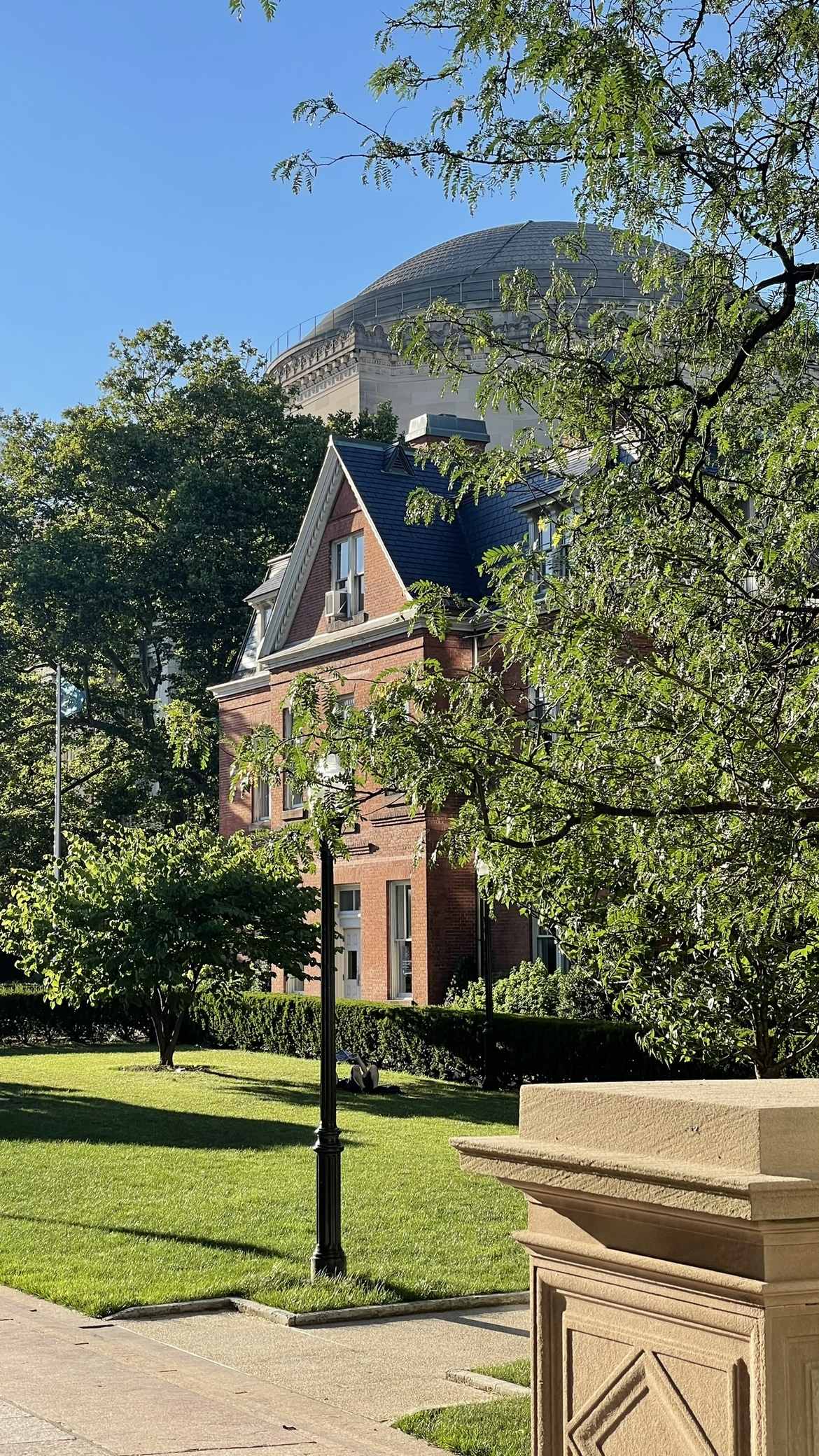 Aila