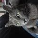 Janet profile