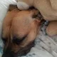 Sweets profile