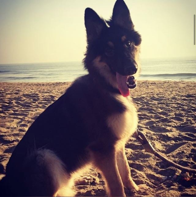 Thiki profile