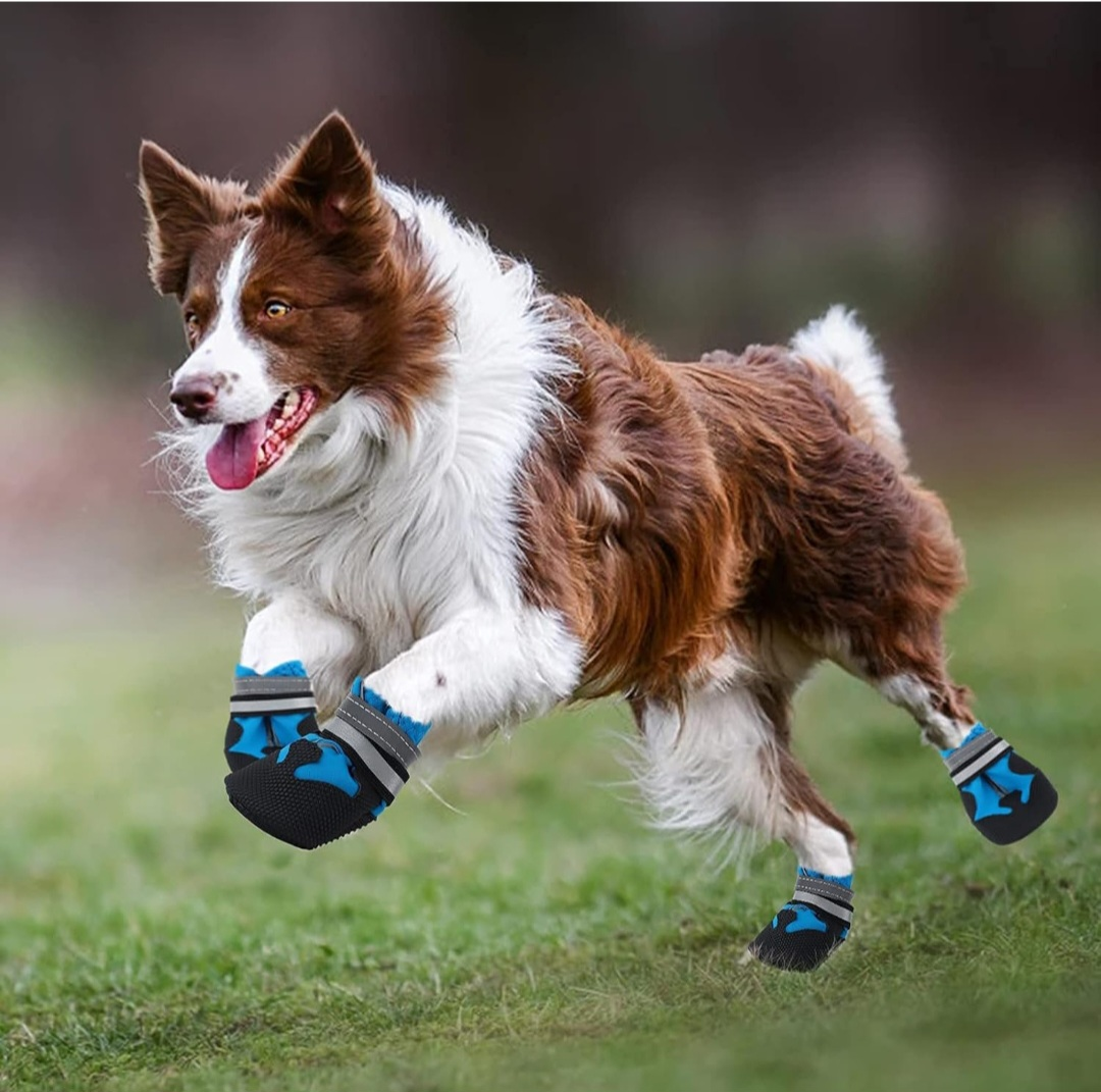 amazing stuff profile