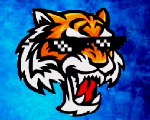 CoolTiger profile