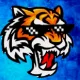 CoolTiger profile